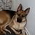 Delicia Thornton Guyer's profile image