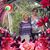 Debra Sturges's profile image