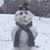 Laurelee Bixenman Graham's profile image