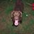 Denny Parrish's profile image