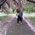 Pilar Marife Faraon Ortiz's profile image