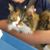 Susan McManimon's profile image