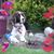 Linda Serafin's profile image