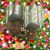 Katie Beaugh Haug's profile image