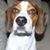 John C Howe's profile image
