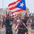 Ivette Roque's profile image