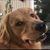 Donny Nygaard's profile image