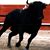 Nicanor Catano's profile image