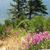 Rhonda Noble Wallingford's profile image