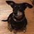 Theresa Ernst-Lockhoff's profile image