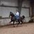 September Sunday Guidry's profile image