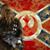 Matt McMahan's profile image