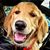 Kathleen Egan Gowin's profile image
