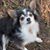 Linda Fernbacher's profile image