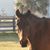 Heather Hahn Morrison's profile image