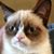Sian Foster's profile image