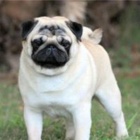 Erin Henlon- Hall's profile image