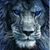 Kim Davi Young's profile image