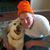 Fred Fischbach's profile image