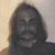 Steve Fox's profile image