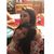 Katherine Rose's profile image