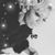 Sandee Anders's profile image