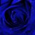 Liss Rivera's profile image