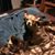 Beth Siebert's profile image