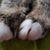 Yvonne Schumann's profile image