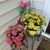 Deb Peter Provencher's profile image