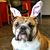 Bogie Votaw's profile image