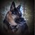 Kathy Brunsvold's profile image
