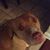 Theresa Stammen's profile image