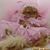 Mary Kolarik's profile image