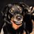 Joan Block's profile image