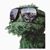 Roger Linn's profile image