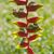 Julie Grote's profile image