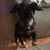 Janet Friel-Adams's profile image