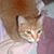 Katzs Leah's profile image