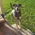 Rachel Scinta's profile image