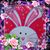 Connie Curtis's profile image