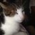 Carole Morrow Smith's profile image