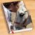 Jeanne Sesky's profile image