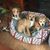 Lizzy Fanning Wooster's profile image