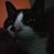Ingrid Maria Walker's profile image
