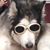 Tammy Prestwood Young's profile image