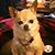 Edgar Clary's profile image