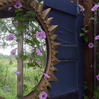 Jeannie Williams's profile image