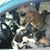 Michelle Hoppe Brock's profile image