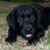Jill Thomen's profile image